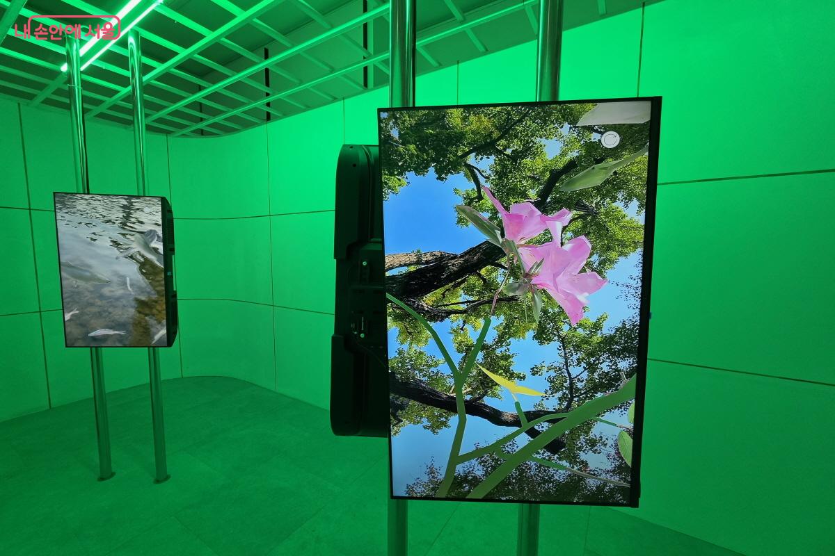 서서울미술관은 뉴미디어 특화 미술관이다. ⓒ심재혁