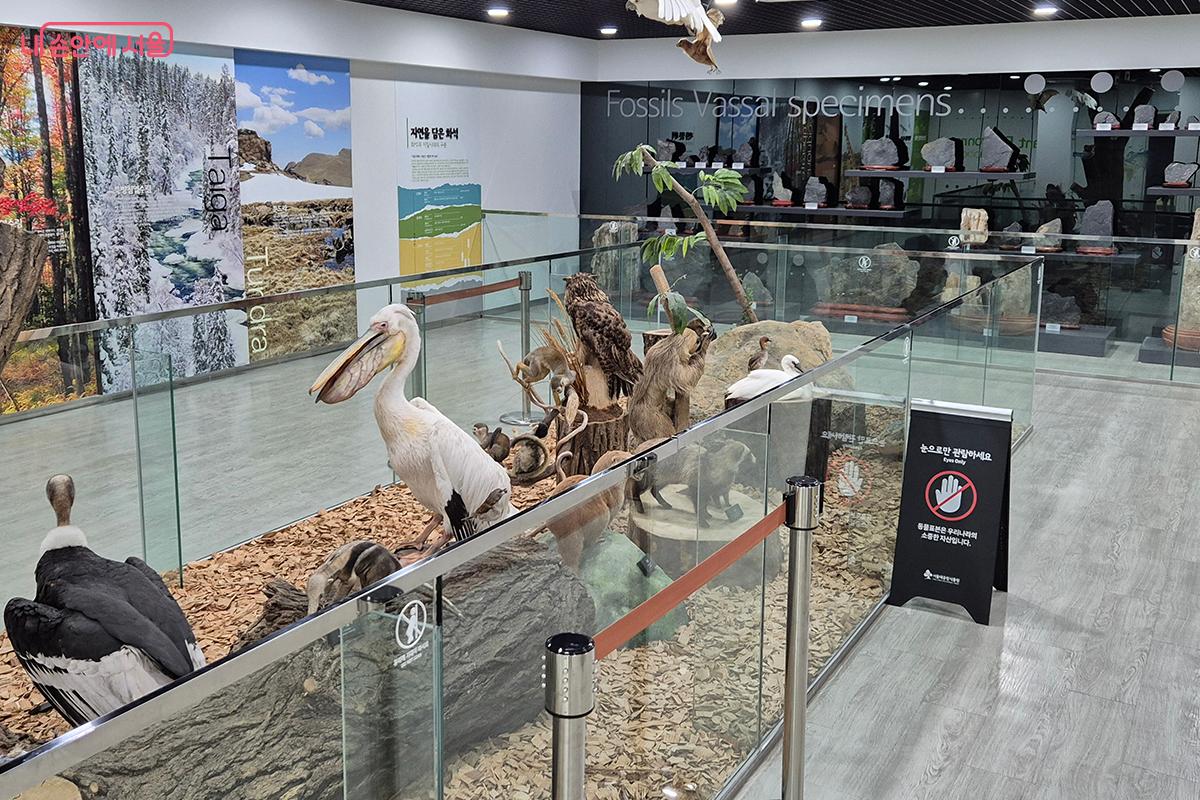 &lsquo;식물환경 전시실&rsquo;에는 식물과 식물 주변 환경에 대한 내용이 전시되어 있다. &copy;정향선