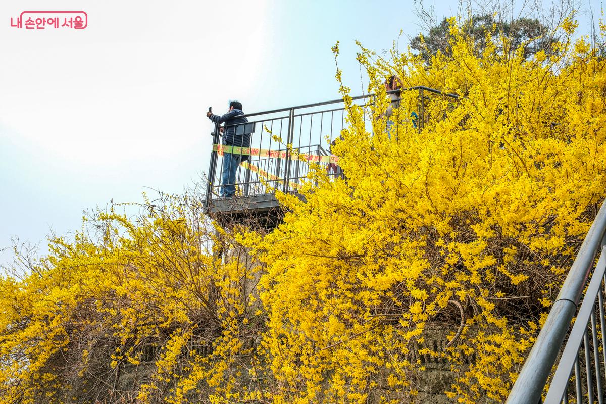 산 중턱에 위치한 전망대에서 한강 뷰를 감상하고 있는 시민의 모습 &copy;박우영