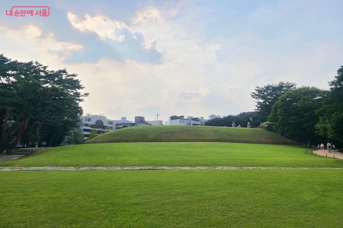 꽃망울이 맺히기 시작한 봉은사 목련 ©김윤화