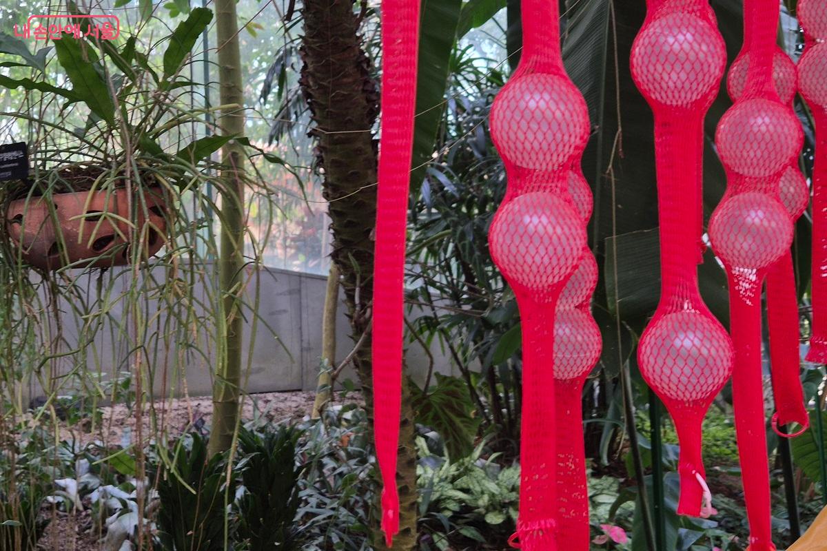 주변에서 쉽게 볼 수 있는 재료인 양파망을 활용해 작품을 만든 최성임 작가 ⓒ마가은