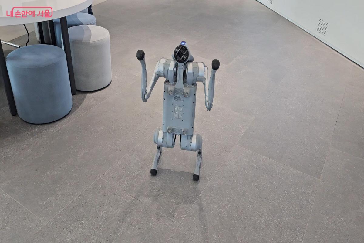 로봇개의 다양한 묘기와 기술을 볼 수 있다. &copy;염지연