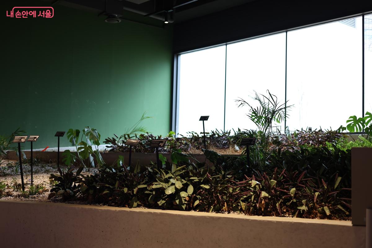 미술관 안에 식물이 심어져 있다. &copy;김예진