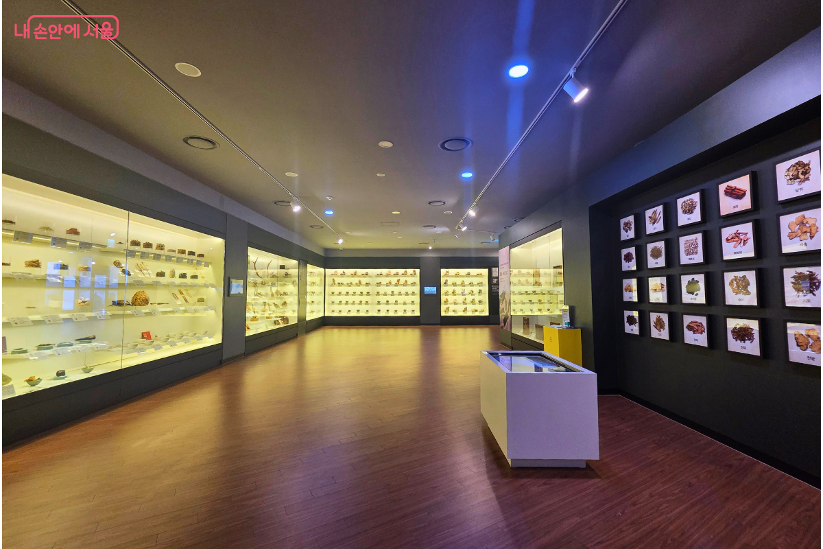 세련된 어두운 회색 벽면으로 꾸며진 박물관 전시실 내부다. 좌측과 정면 벽면의 매립형 유리 진열장 안에는 수많은 한약재 표본이 하얀 조명을 받으며 전시되어 있다. 우측 벽면에는 20여 개의 작은 사각 프레임 안에 다양한 약재 사진과 이름이 격자 형태로 걸려 있으며, 중앙 바닥에는 흰색 직사각형 전시 매대가 놓여 있다.