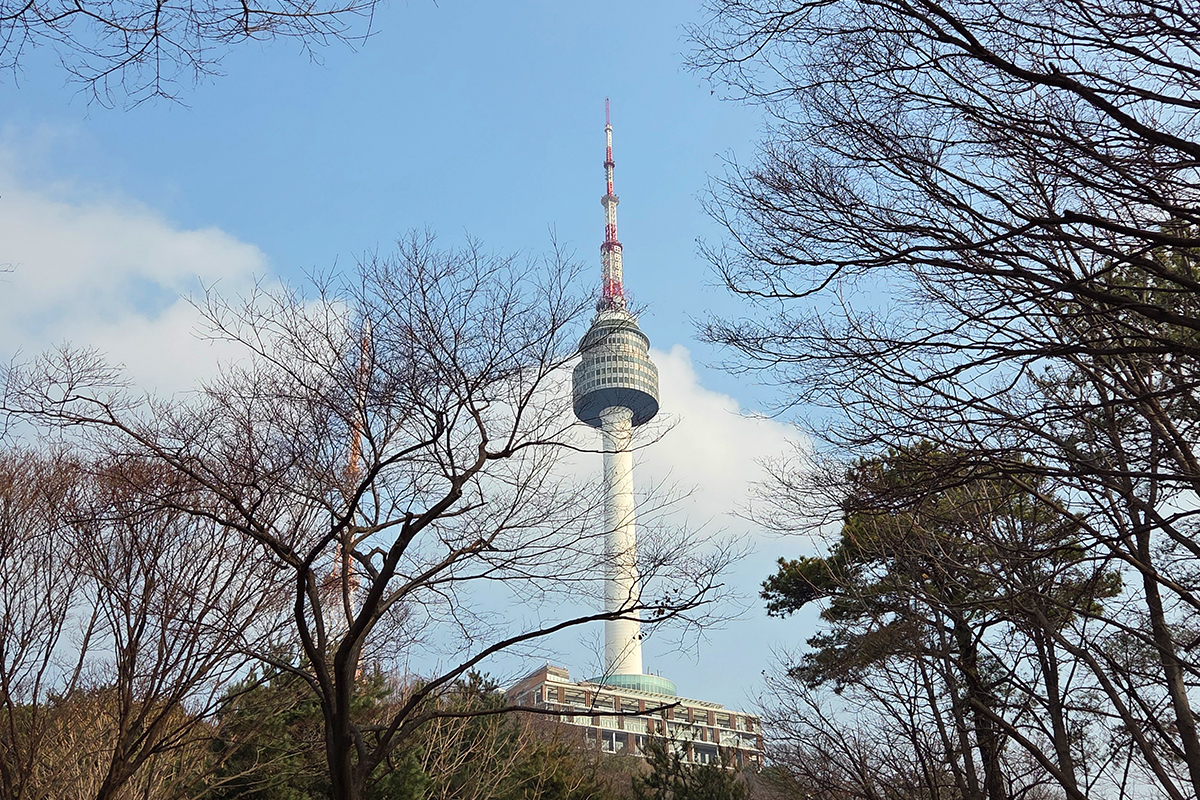 남산 오르는 길이 더 편해졌어요! 나무숲 사이 데크길 &lsquo;남산 하늘숲길&rsquo;