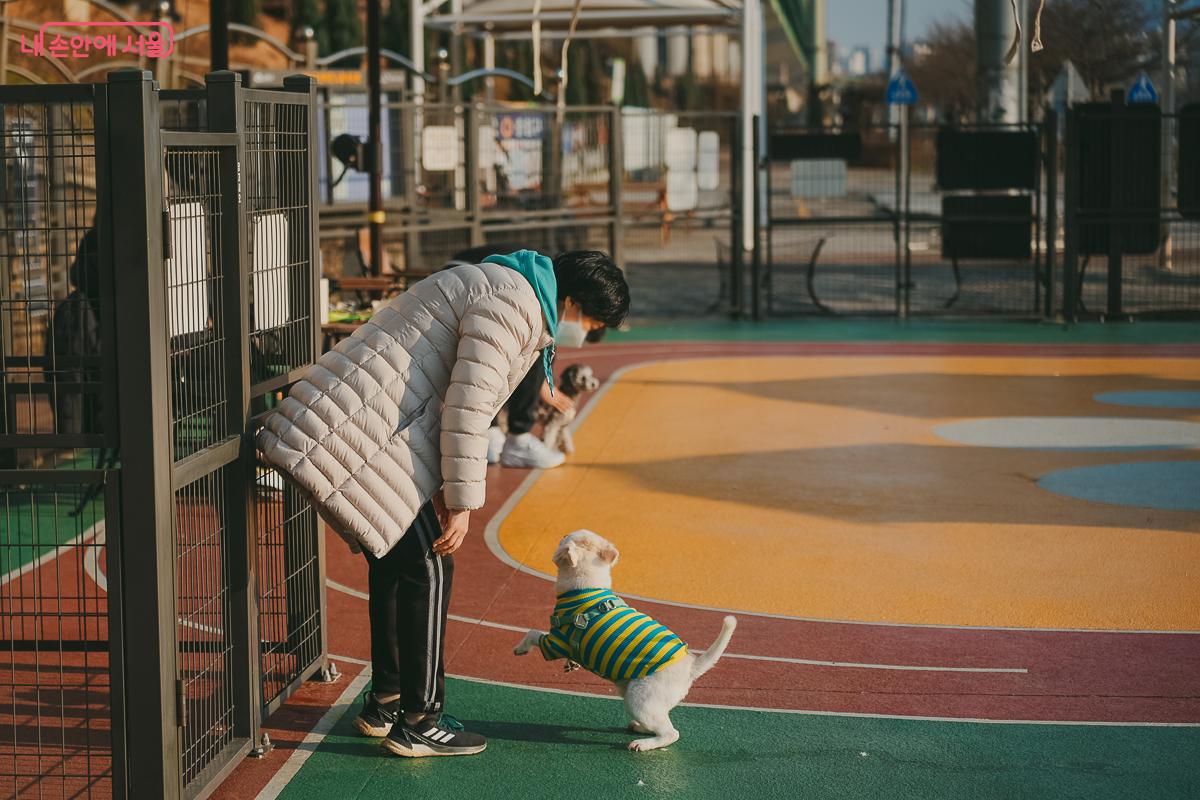 벤치에 앉아 반려견과 함께 휴식을 취하며 다정하게 교감하는 시민의 모습 &copy;김성무