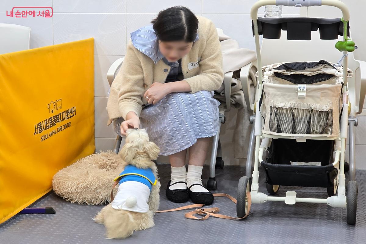 '앉아' 훈련을 하는 강아지 라떼 &copy;강사랑