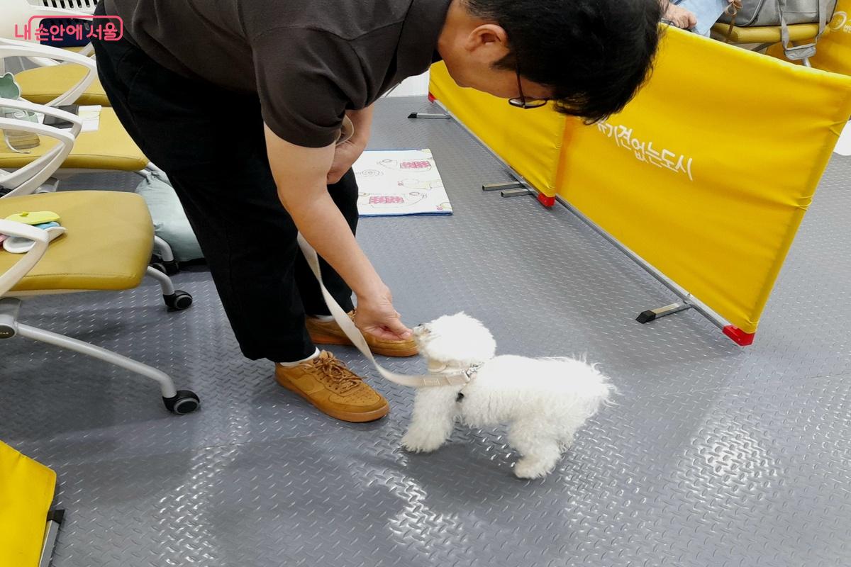 서울 반려동물 시민학교에서는 반려동물 행동교정, 사회화·예절 교육, 산책훈련 등을 진행한다. ⓒ김은주