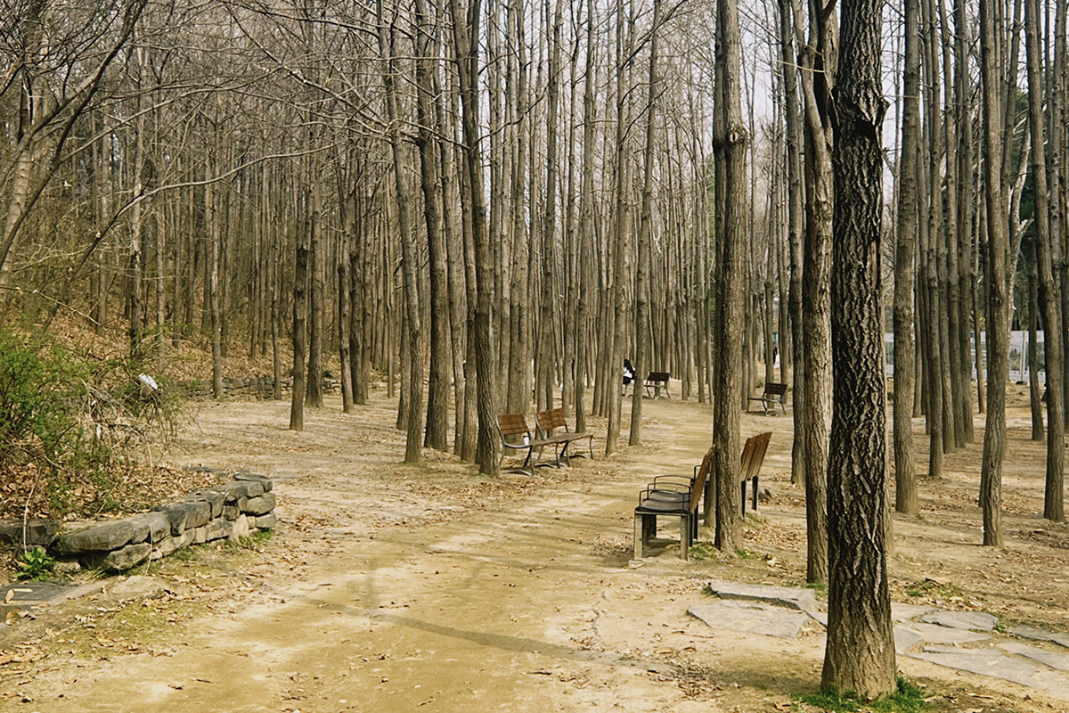 타지 말고 걸어요! 서울숲 22km '보행자전용길' 지정