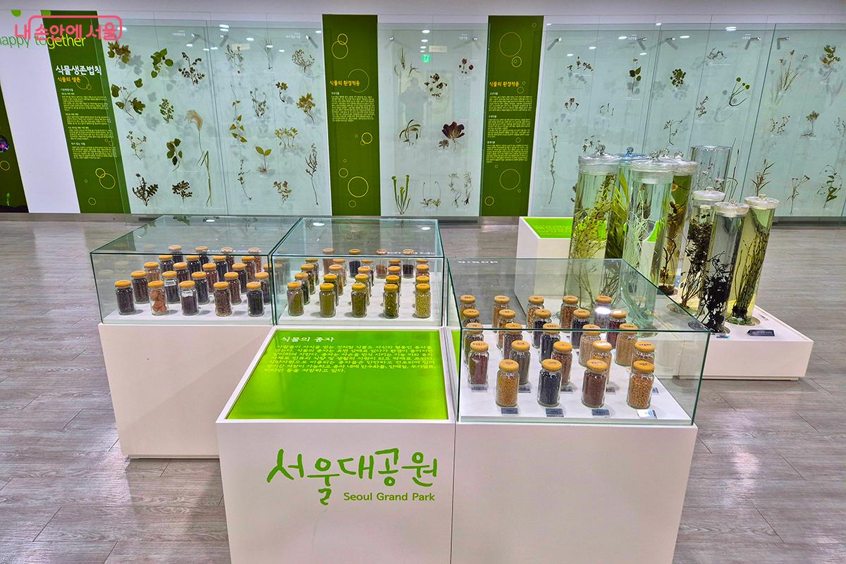 식물표본과 액침표본, 식물종자 등 총 275점이 전시되어 있는 &lsquo;식물 표본 전시실&rsquo; &copy;정향선