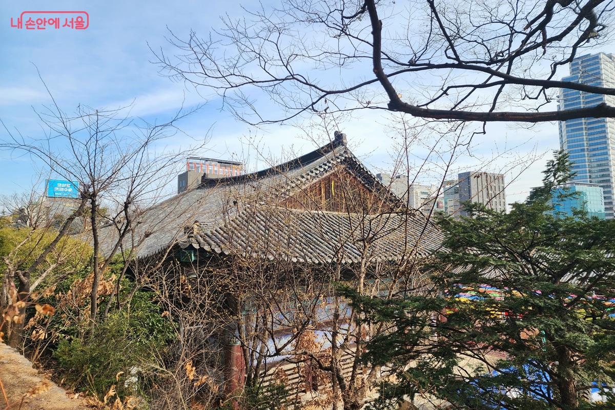 목련과 함께 꽃망울이 맺히기 시작한 산수유 ©김윤화