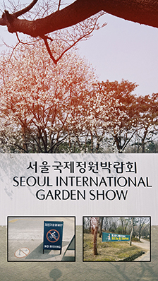 타지 말고 걸어요! 서울숲 22km '보행자전용길' 지정