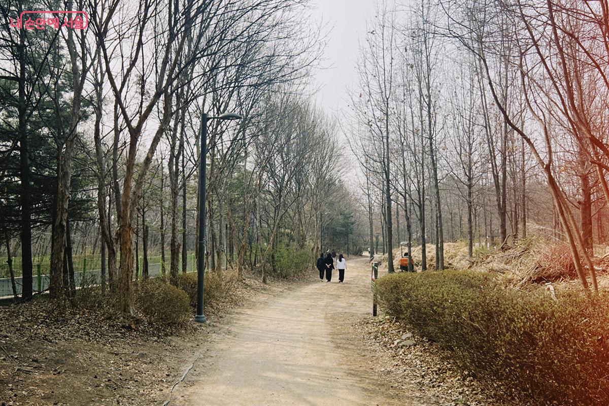 벚나무길을 산책하는 시민들 ⓒ김아름