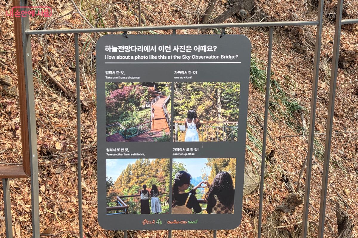 포토 스폿에서 멋진 풍경과 어우러지는 사진을 찍을 수 있는 가이드를 제공하는 안내판 &copy;이다현 
