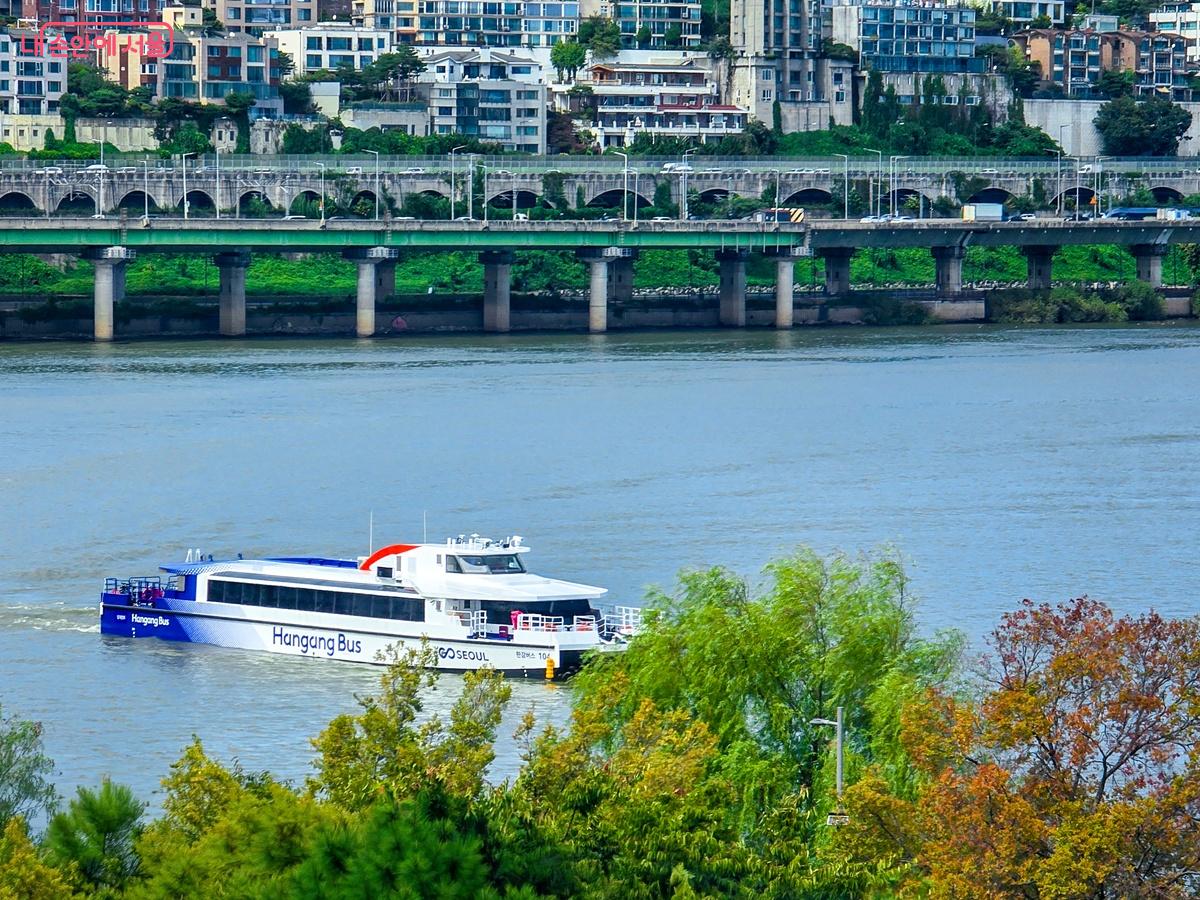 서울 봄나들이를 교통체증 없이 여행할 수 있는 한강버스 ©양지영