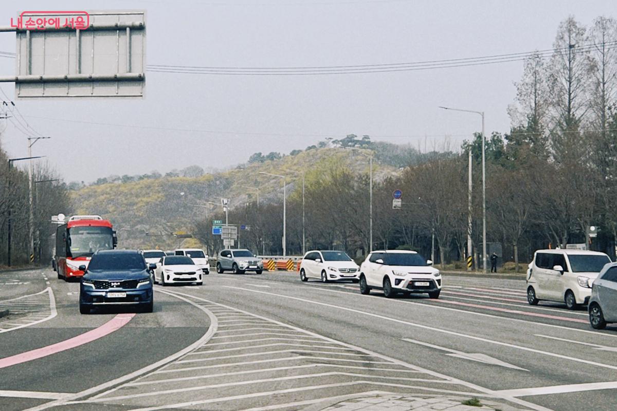 서울숲에서 그리 멀지 않은 곳에 있는 응봉산은 노란 개나리 꽃이 만개했다. ⓒ김아름