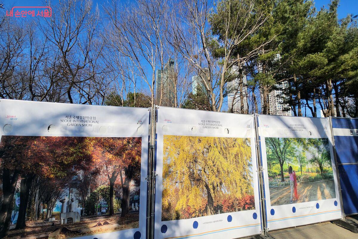 진입 제한 구역 안에는 포크레인으로 작업 중이었다. ©장지영