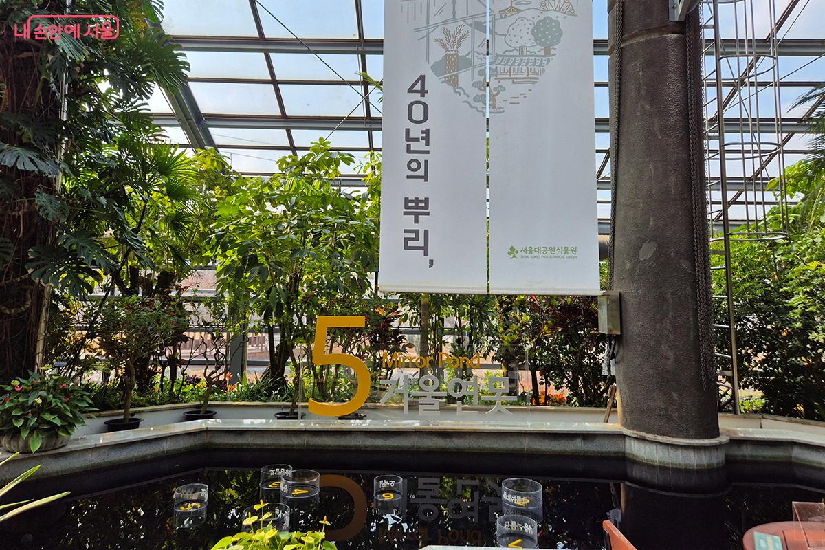 열대와 온대의 중간 지대의 사계절 동안 늘 잎이 푸른 식물을 전시한 &lsquo;난대 식물관&rsquo; &copy;정향선