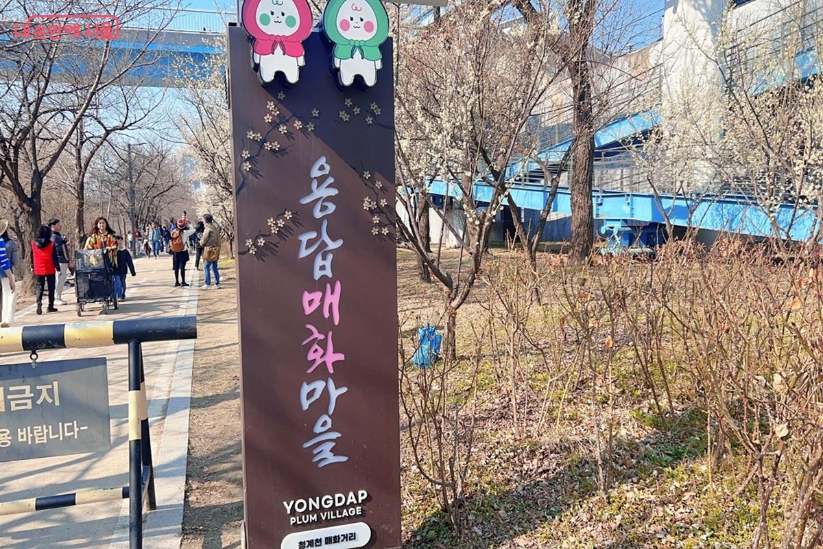 매화거리는 용답역 바로 옆에 위치하고 있다. ⓒ백진숙