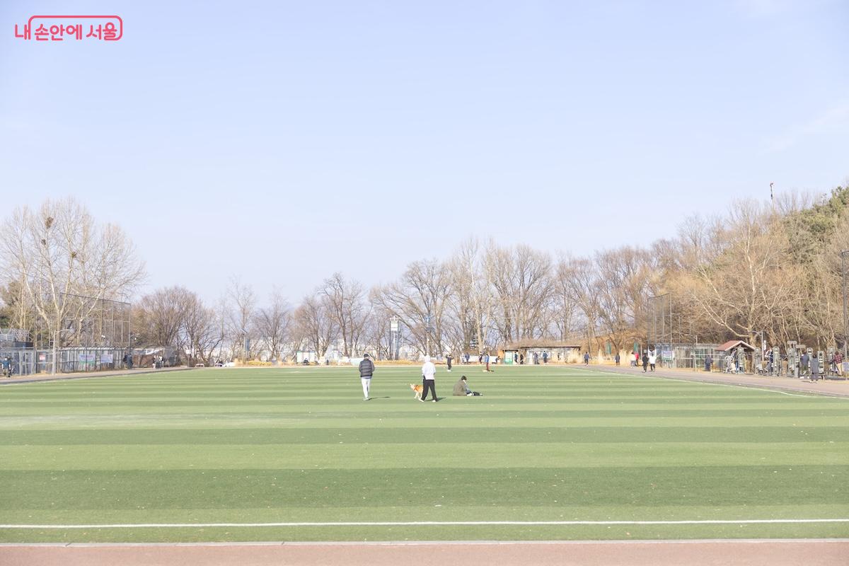 다양한 체육 활동을 즐길 수 있는 용왕산근린공원 정상부의 운동시설 &copy;임중빈