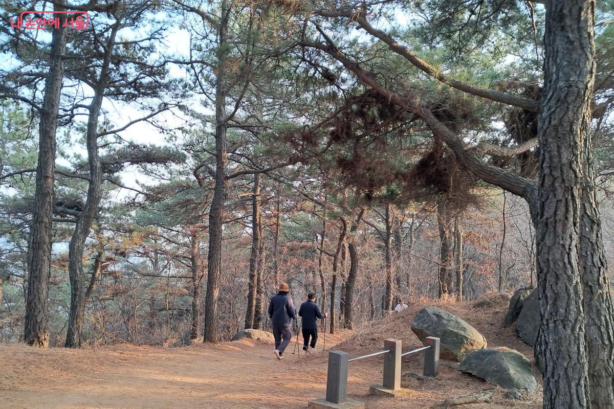 발바닥에 닿는 부드러운 흙의 질감을 느끼며 백련산 숲길을 걷고 있는 등산객들 ©장형진