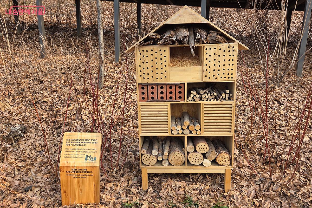 남산의 설해, 피해목을 재활용해 만든 곤충호텔 &copy;이다현