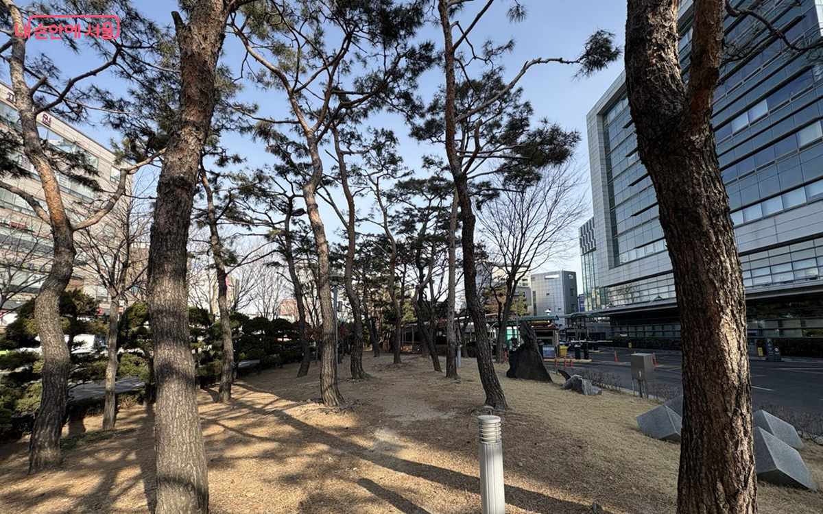 구로구 고려대학교 구로병원 무장애 동행가든 조성 전 모습 ⓒ서울시
