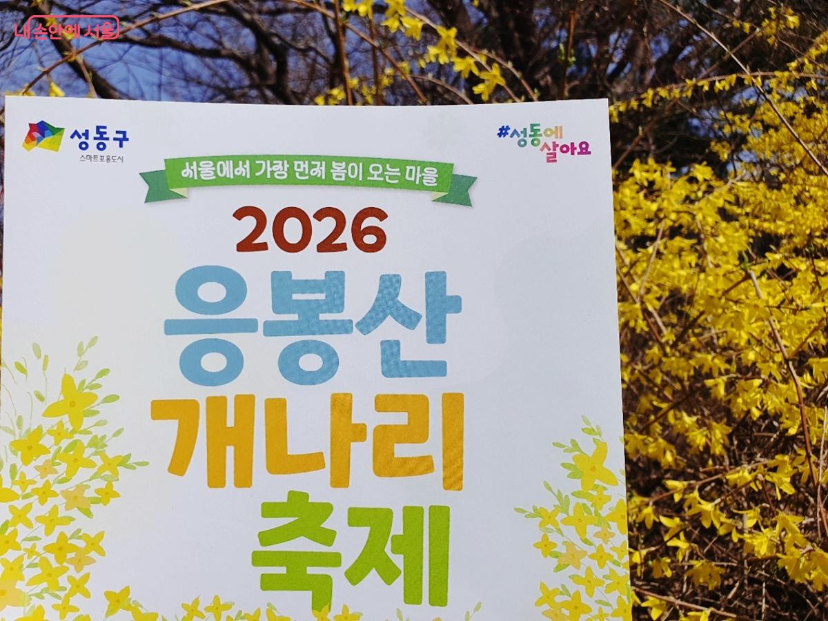 응봉산은 서울에서 가장 먼저 봄이 도착하는 개나리꽃 명소다. &copy;김병규