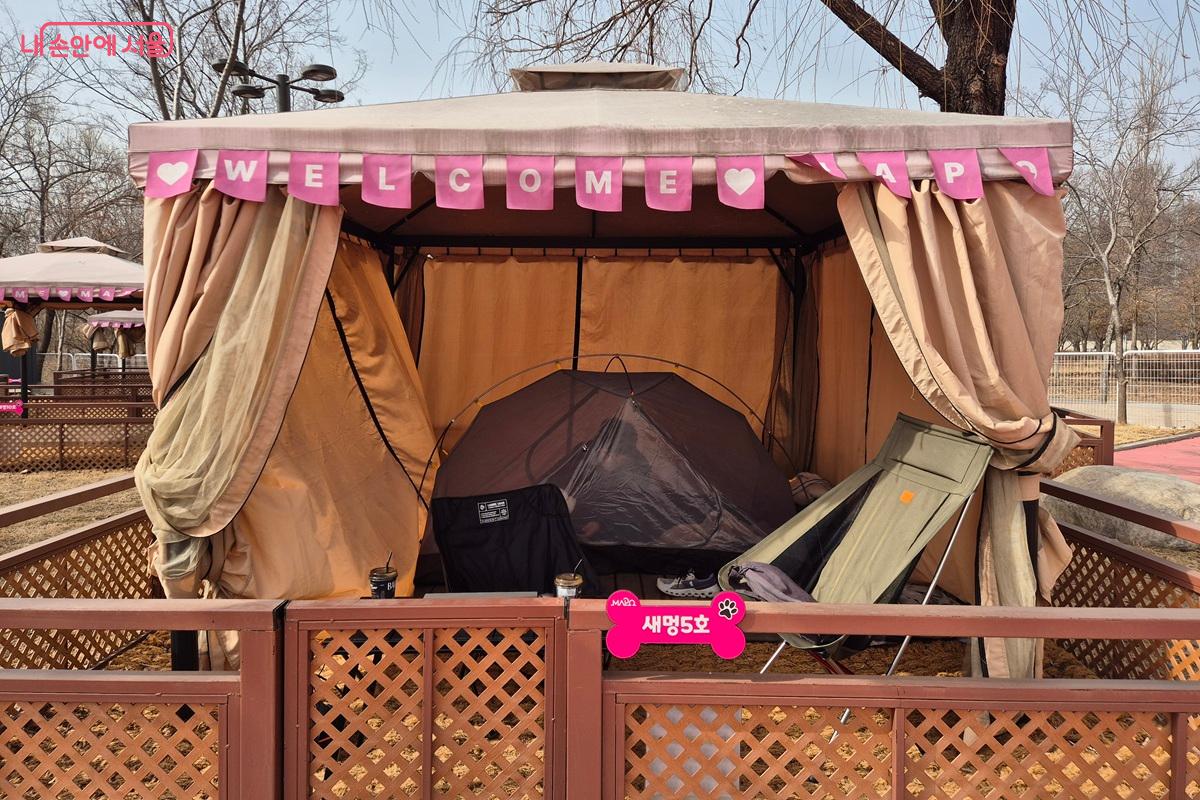 소형 텐트와 캠핑 의자를 설치할 수 있는 규모의 캠핑존 &copy;마가은