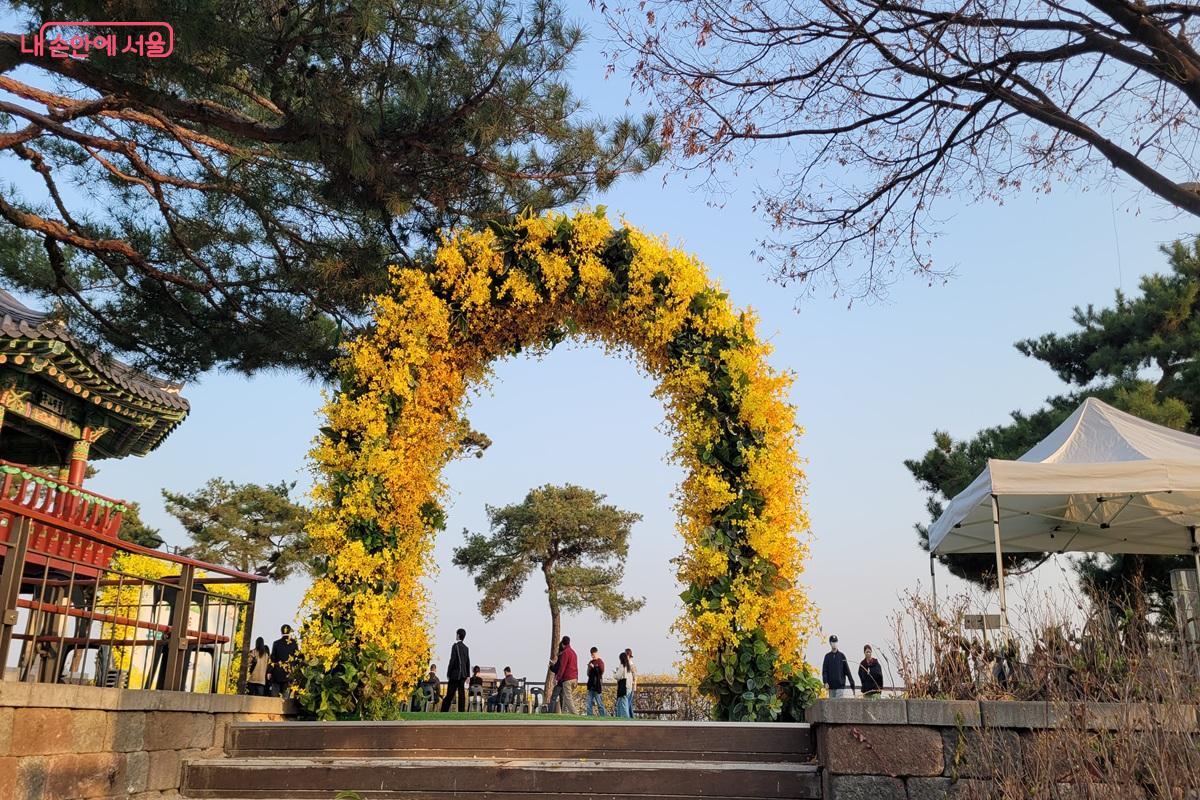 개나리로 장식된 포토존 ⓒ조연