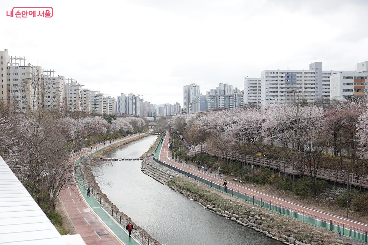 옥상전망대에서 바라본 우이천 전경 &copy;김아름