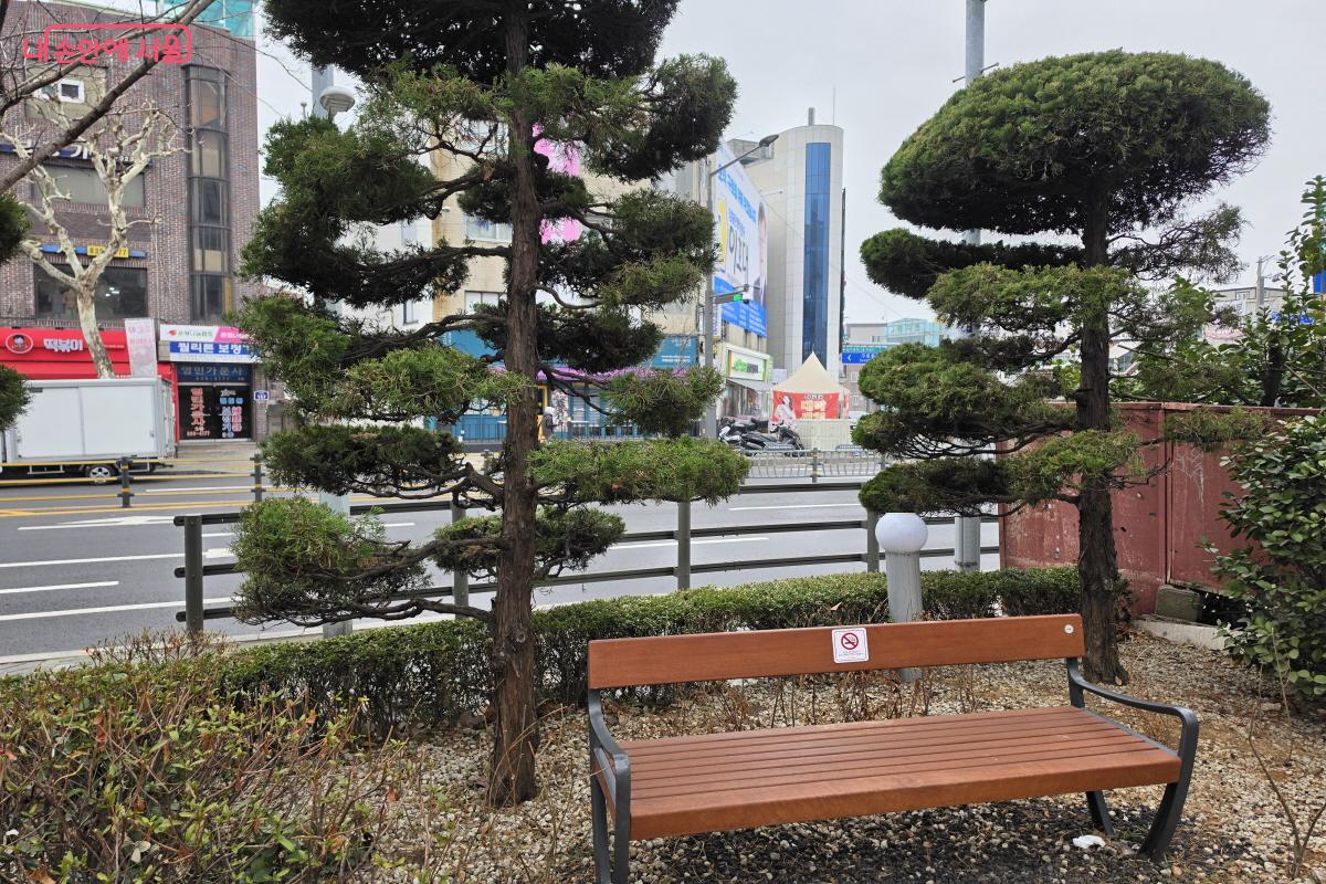 소나무와 어우러지는 벤치 ⓒ조수연