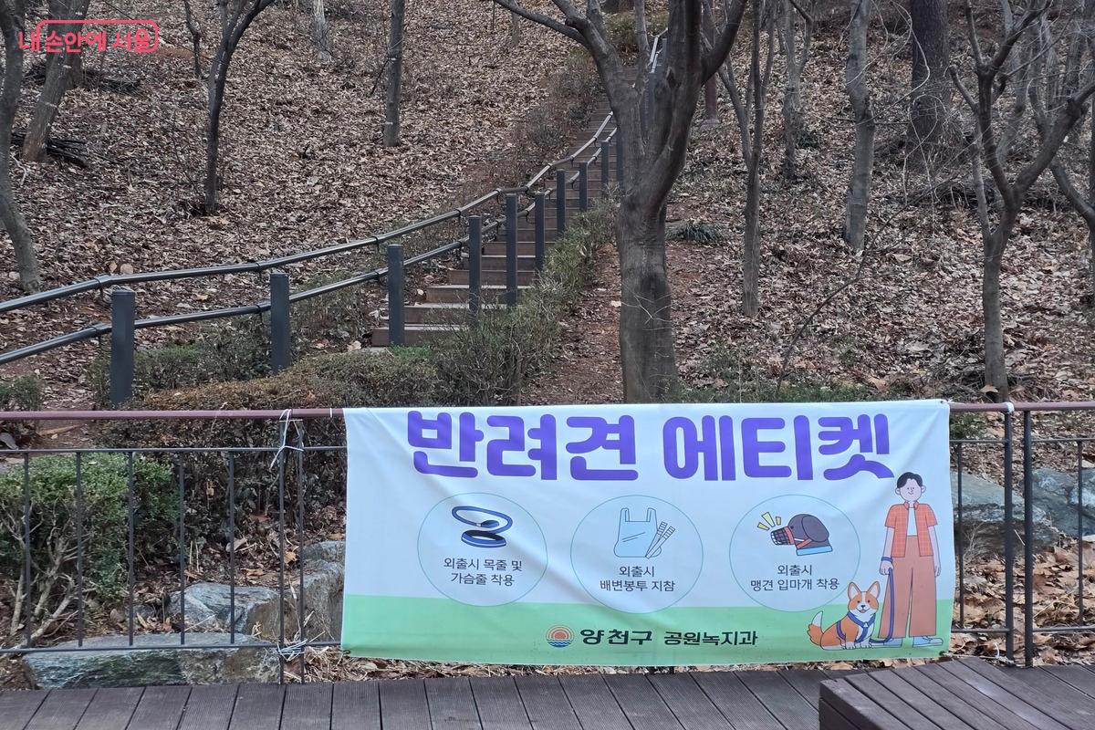반려견 에티켓을 잘 준수하는 것이 중요하다. ⓒ김은주