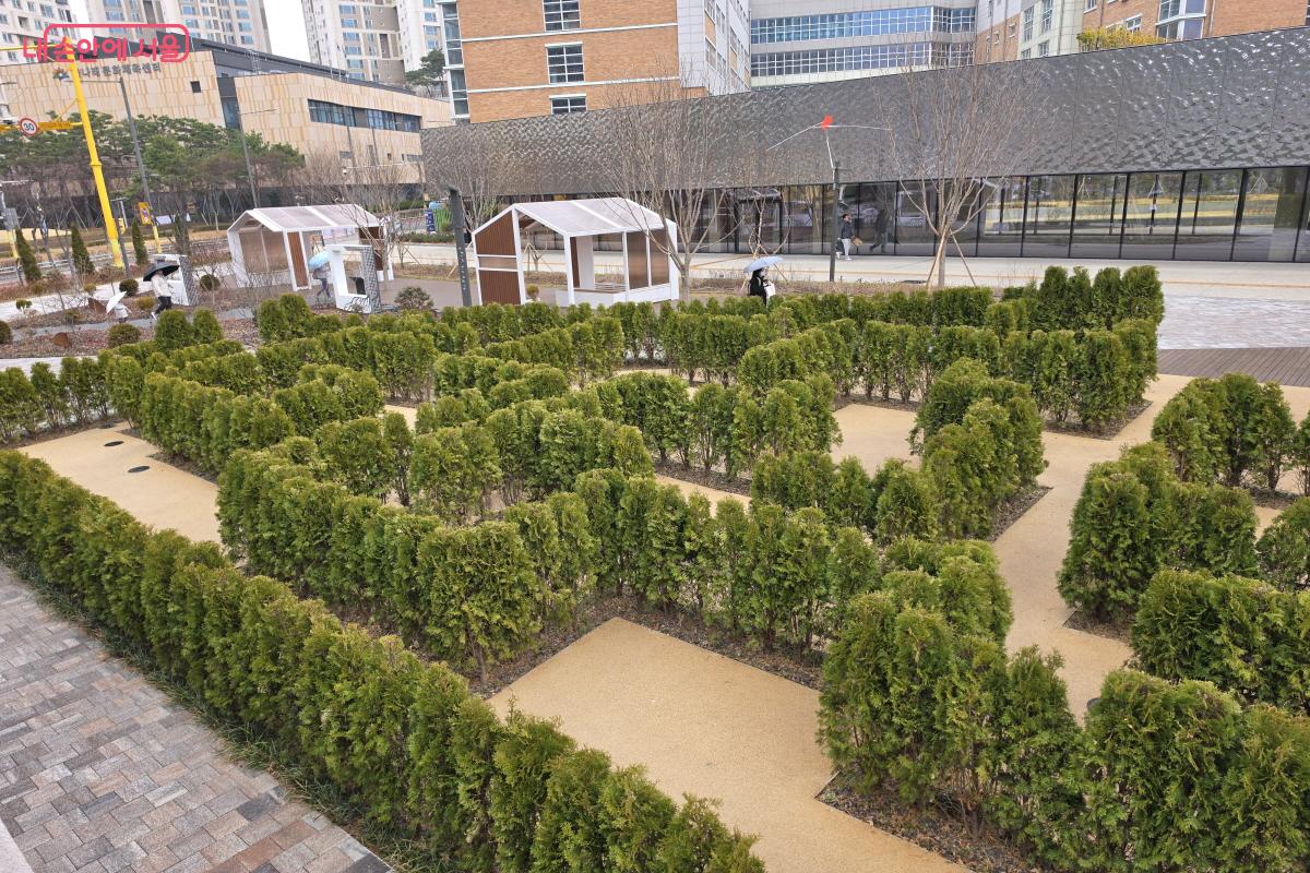 서울시립 서서울미술관 옆에는 미로정원이 있다. ⓒ심재혁