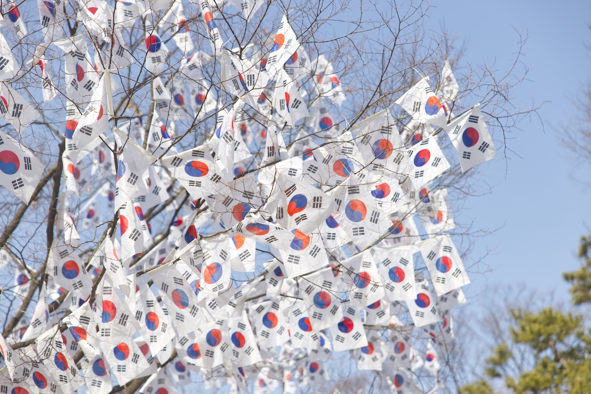 성탄 트리 말고 태극 트리! 지금 효창공원을 꼭 가야 하는 이유는?