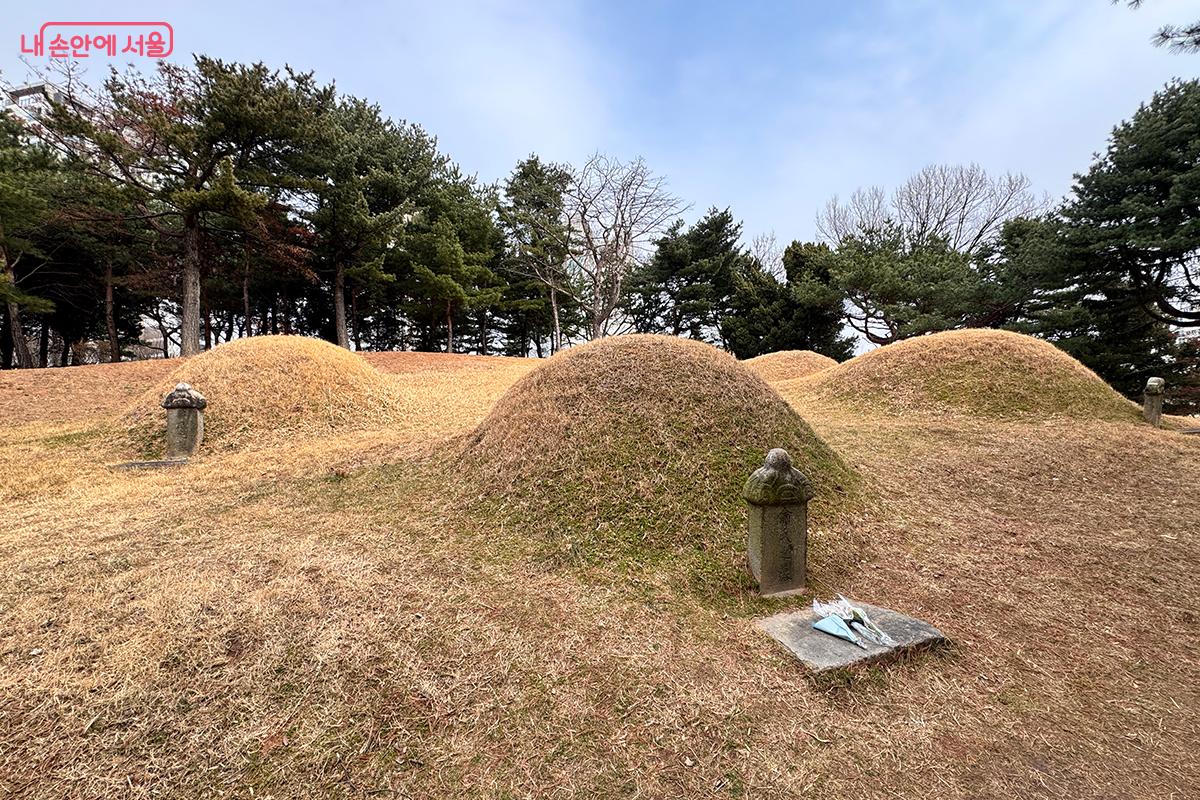 1456년, 세조가 조카 단종의 왕위를 찬탈하자 성삼문, 박팽년, 하위지, 이개, 유성원, 유응부 등 여섯 충신은 단종 복위를 꾀했다. 그러나 계획이 발각되며 모두 처형되었고, 그들의 시신은 제대로 수습되지 못했다. 후대에 이르러 조선 중종 때 백성들이 이들의 충절을 기려 이곳 노량진 언덕에 묘역을 조성하고 사당을 세웠다. &copy;전미애