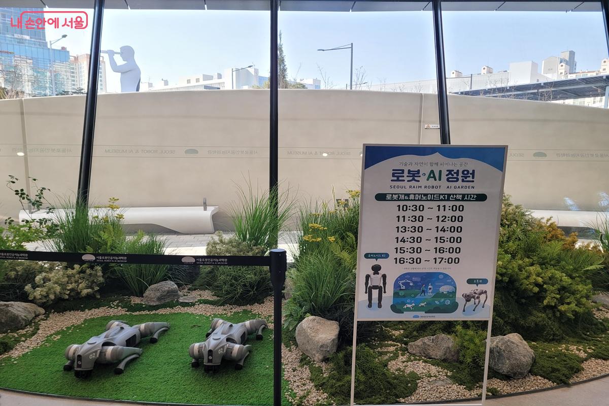 서울로봇인공지능과학관 로봇 AI 정원 전시 공간에서 로봇 모델을 전시한 모습 &copy;조연