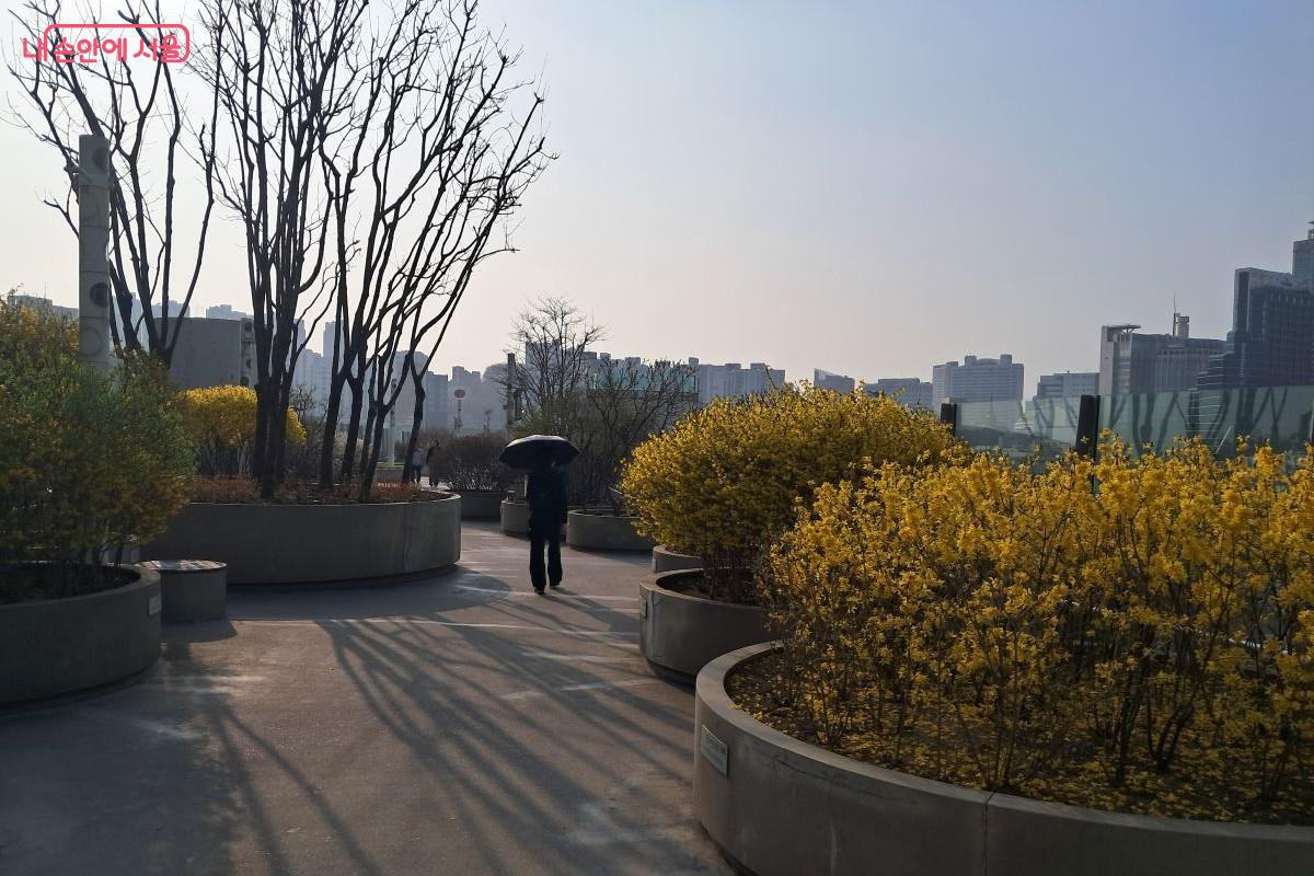 봄이 찾아온 '서울로 7017'을 걸어 보자. ©장형진