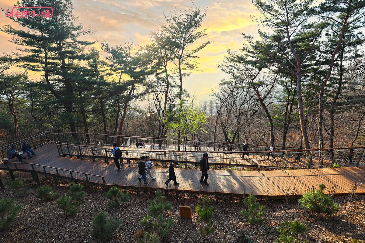 해 질 녁 숲속의 풍경은 한 폭의 그림이 된다. &copy;김주연