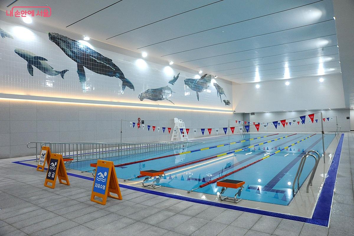 &lsquo;수중휠체어&rsquo;를 탄 채 수영을 즐길 수 있는 실내수영장 &copy;조수봉