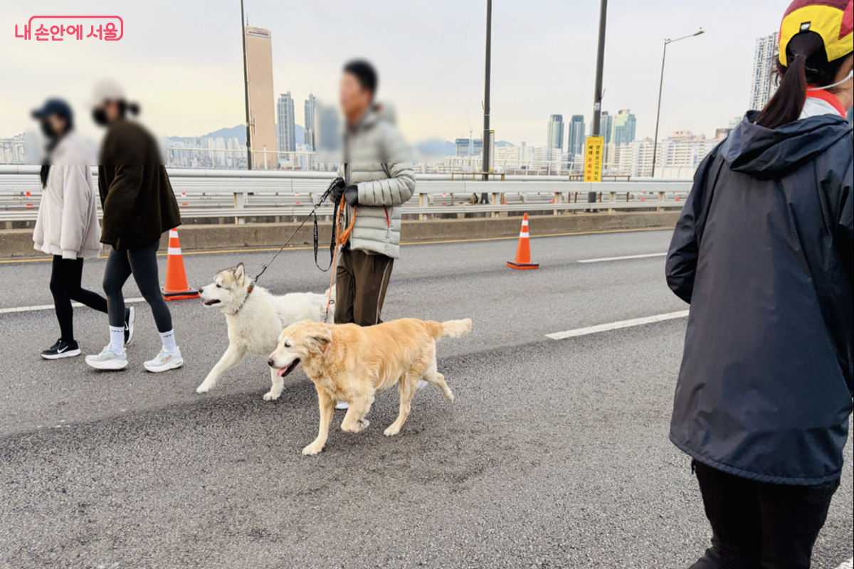 다양한 참가자들의 모습을 볼 수 있는 '쉬엄쉬엄 모닝' ©김경선