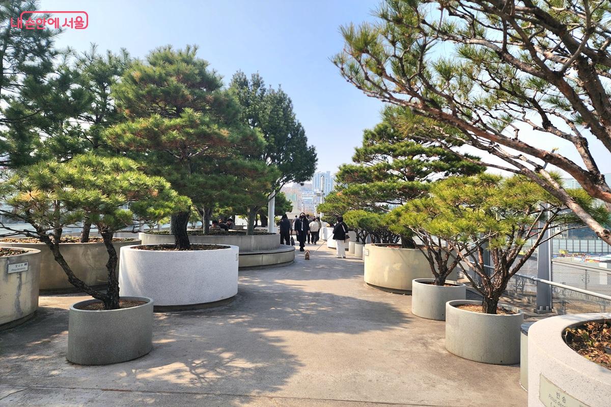 서울로7017에서 산책을 즐기고 있는 시민들 ©김윤화