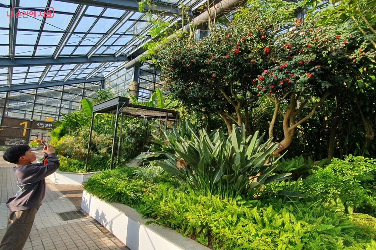 식물원 가득 만발한 꽃들을 촬영 중인 어린이 관람객  &copy;엄윤주