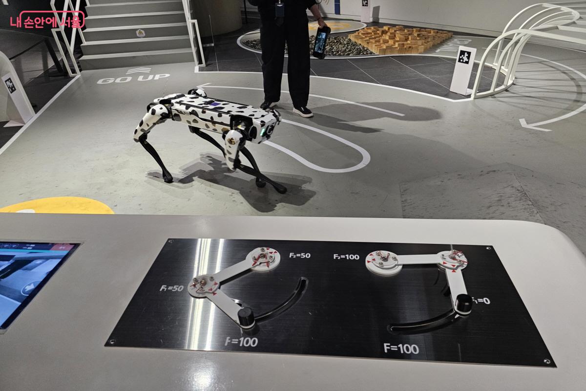 장애물을 가뿐히 넘고, 계단까지 뒤로 내려오는 기술력이 돋보인다. &copy;염지연