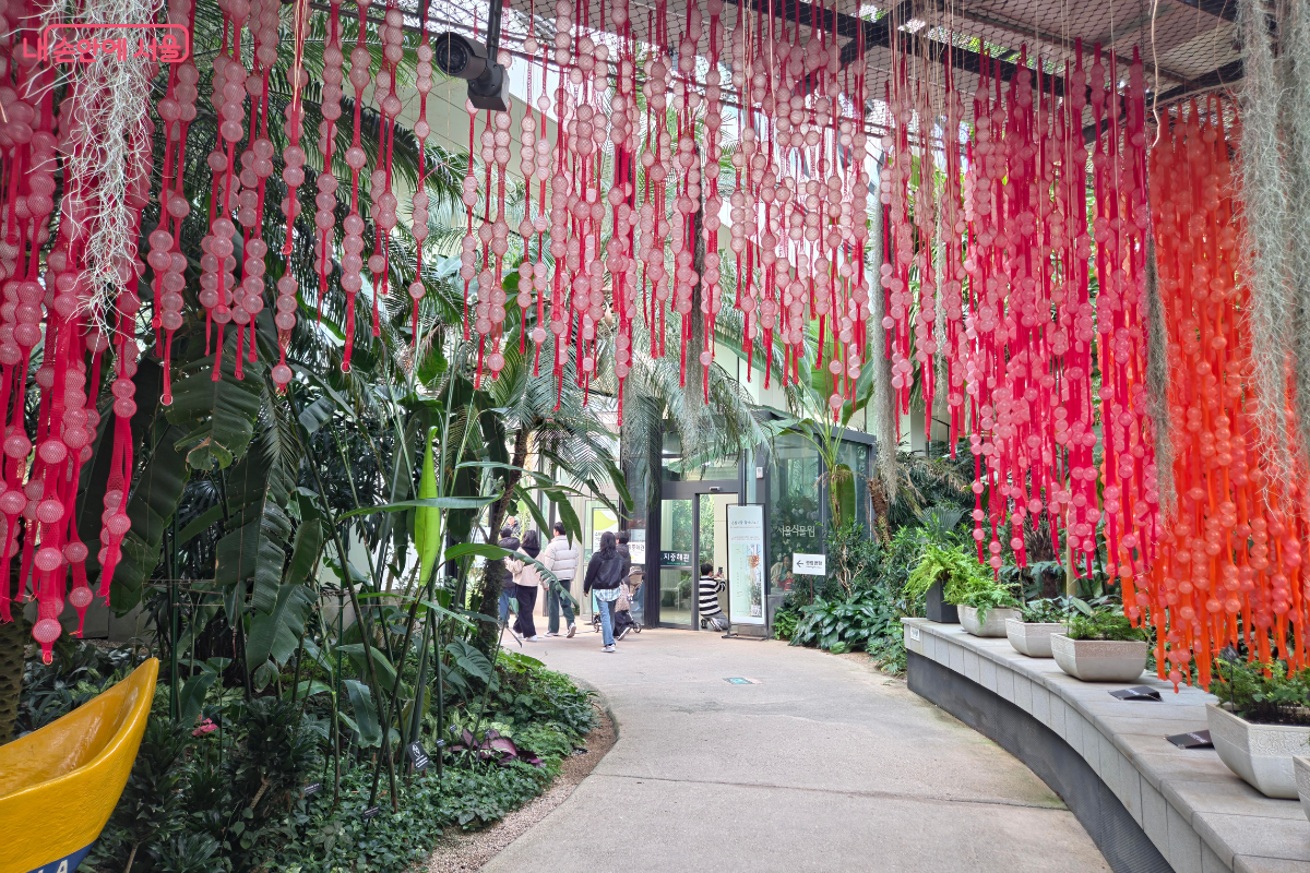 서울식물원 온실 내 전시 연출 모습 © 김승아