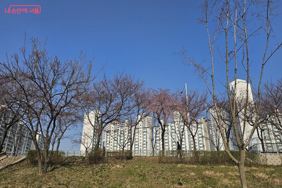 하천과 녹지 공간이 어우러진 안양천 전경, 도심 속 자연 공간 &copy;김도희