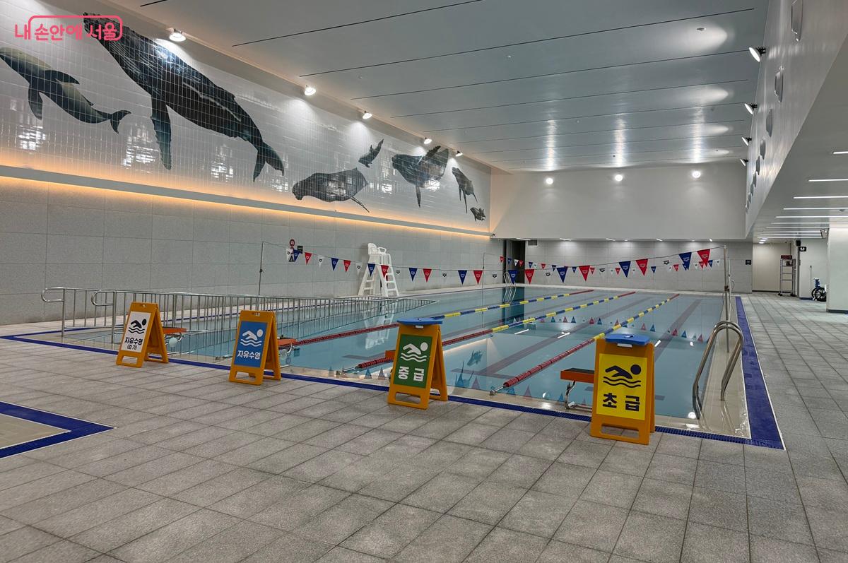 수영장 전경