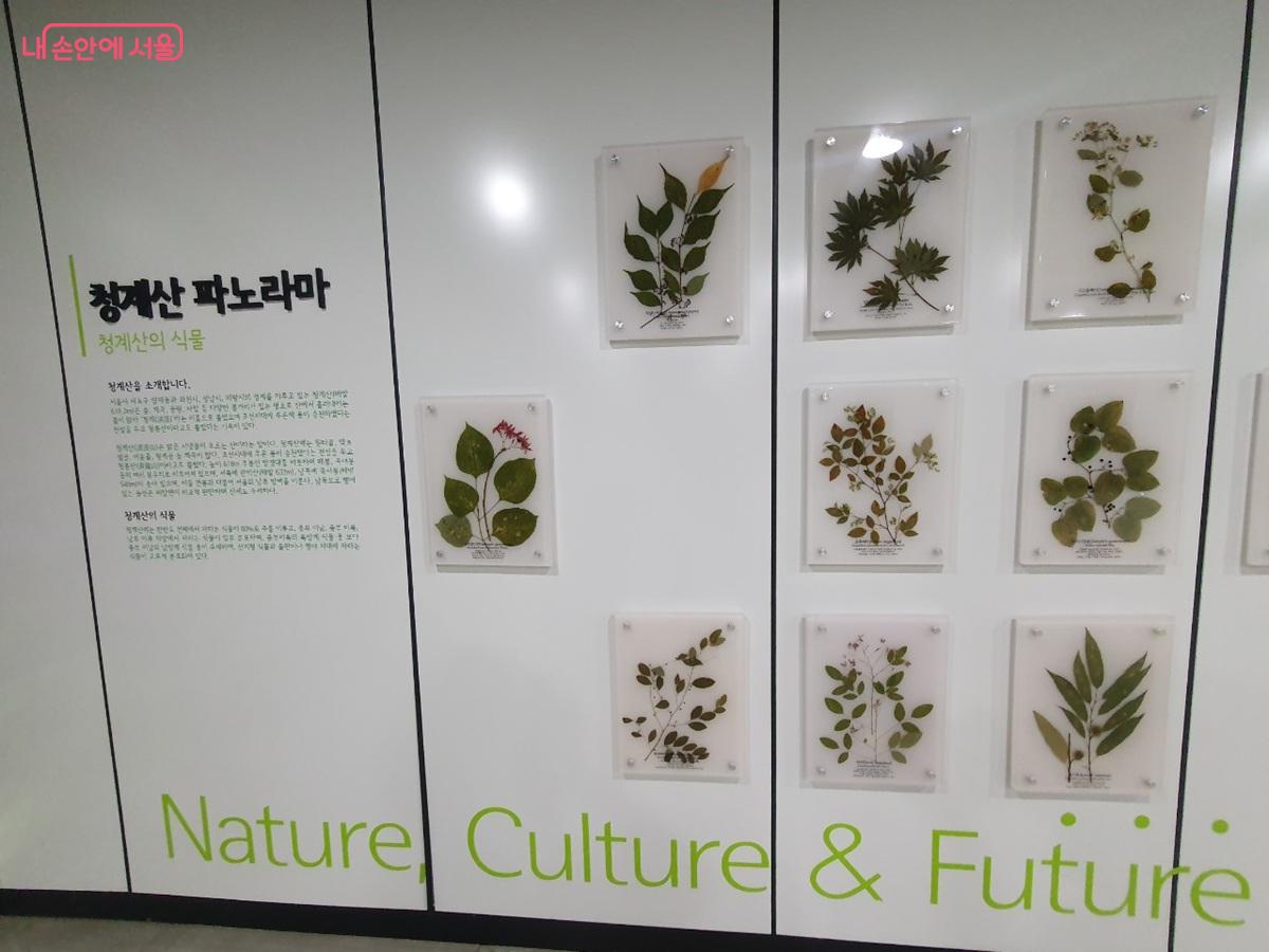표본과 식물 화석이 전시된 식물표본전시실 &copy;엄윤주