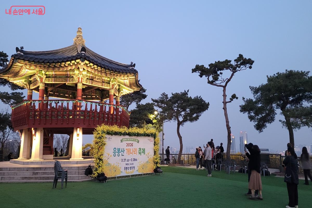 야간 조명이 켜진 팔각정과 개나리 축제 현장 ⓒ조연