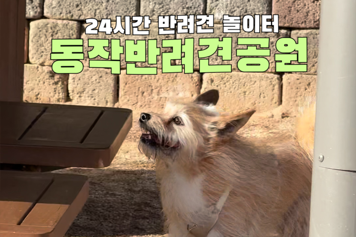 연중무휴 24시 댕댕이 놀이터! 노량진역 인근 '동작반려견공원'